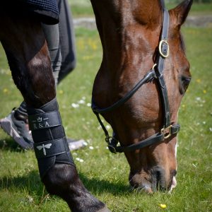ZEPHYR Brushing boots